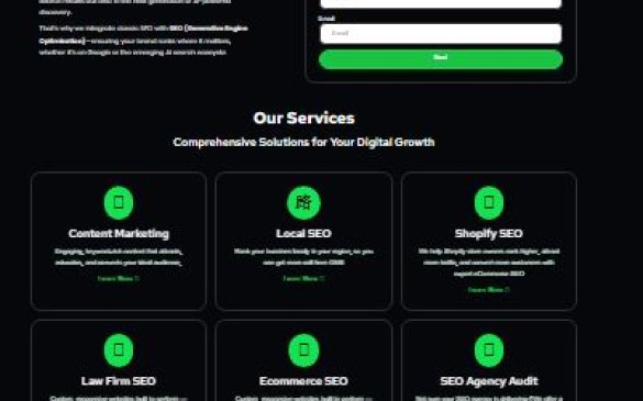 Dallas Search SEO Case Study