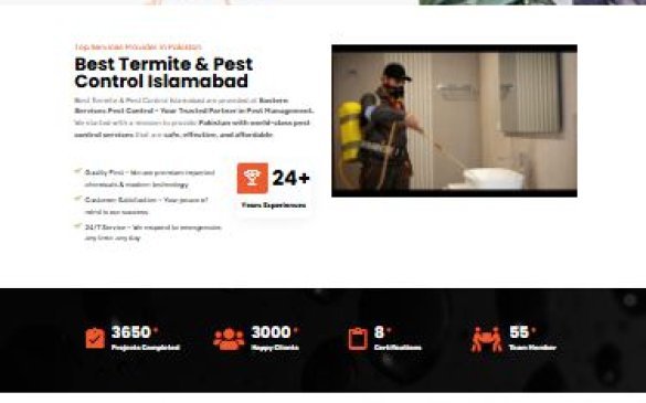 Local SEO & WordPress Case Study: Eastern Services